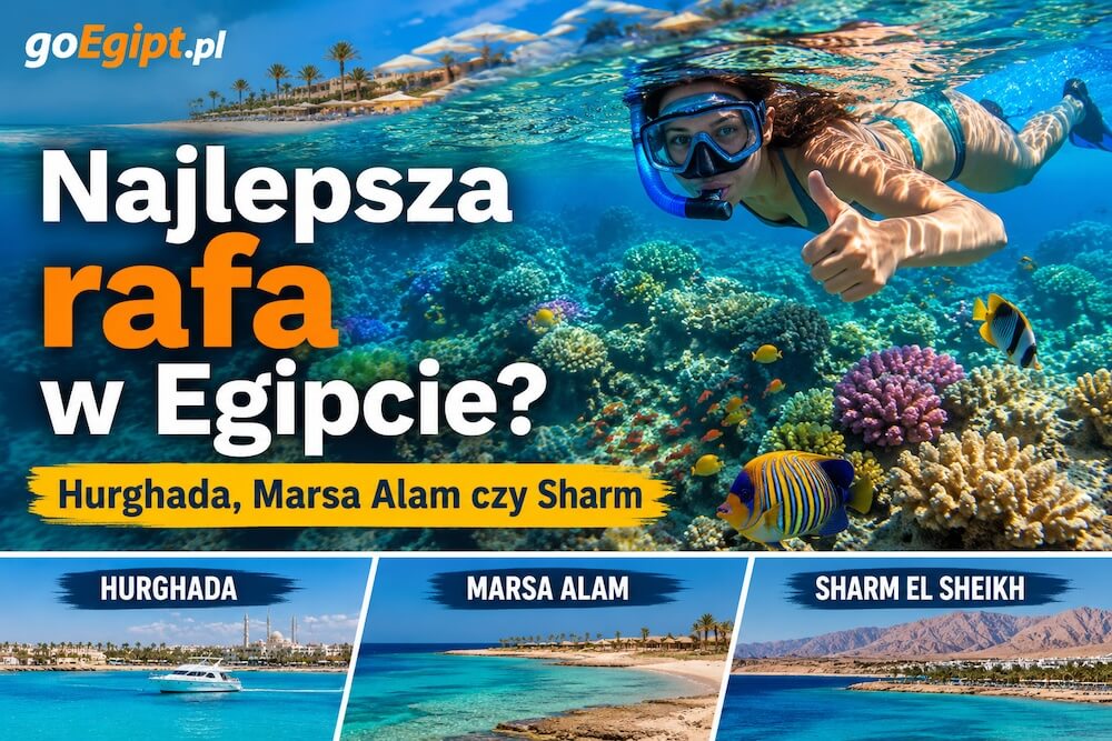 Gdzie jest najlepsza rafa w Egipcie? Hurghada, Marsa Alam czy Sharm