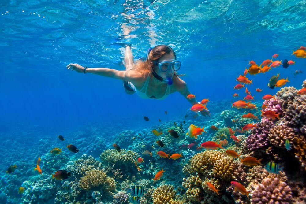 Snorkeling przy rafie koralowej w Egipcie obok hotelu