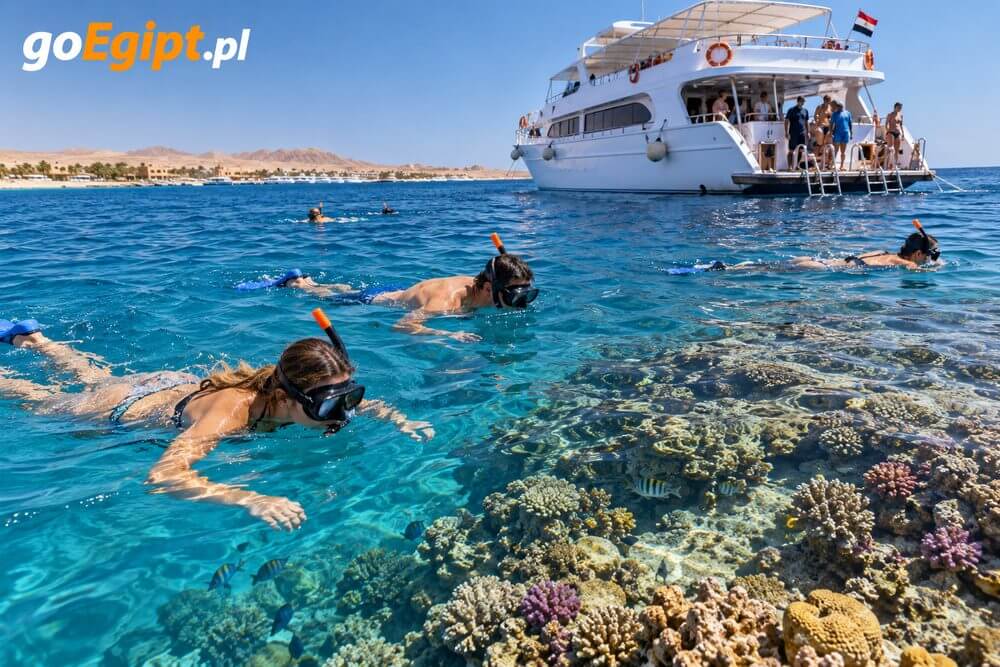 Snorkeling i wycieczki na rafę z Port Ghalib