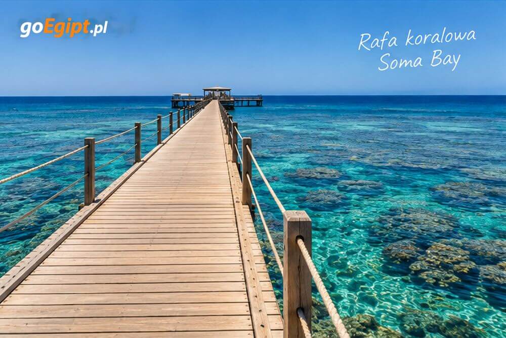 Pomost prowadzący do rafy koralowej w Soma Bay