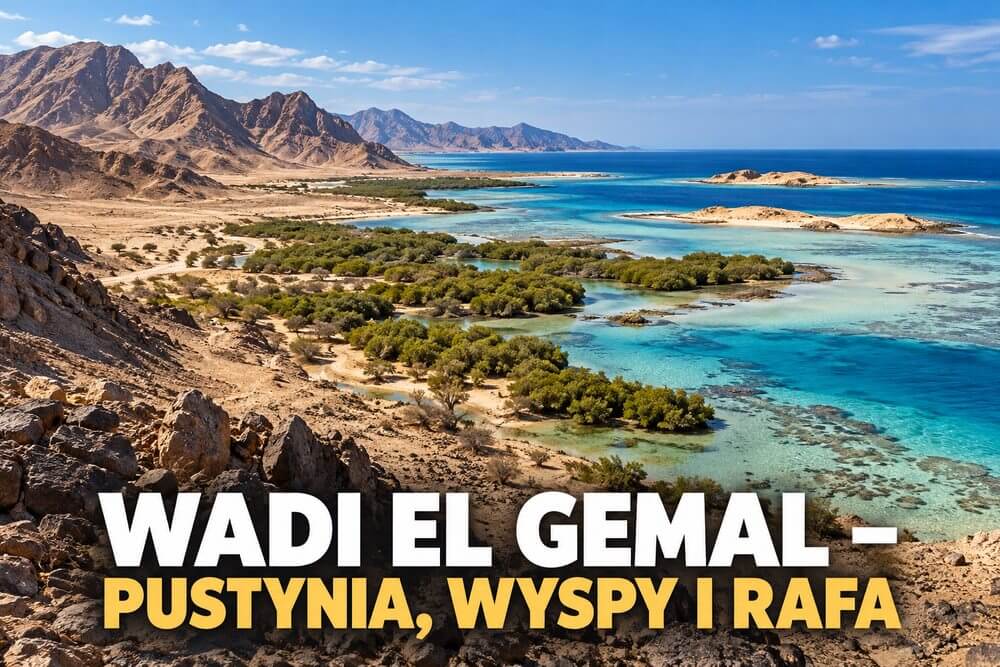 Wadi el Gemal – pustynia, mangrowce, wyspy i historia południowego Egiptu