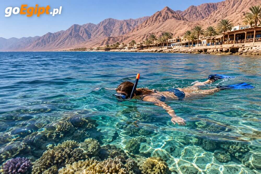 Snorkeling z brzegu w Dahabie nad Morzem Czerwonym
