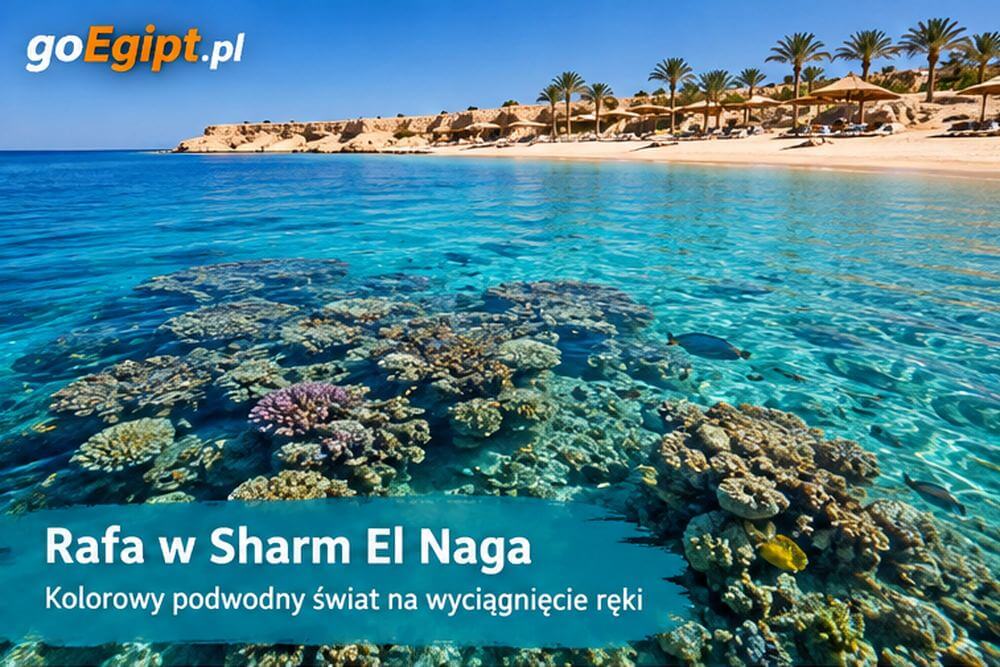 Rafa koralowa przy plaży w Sharm El Naga