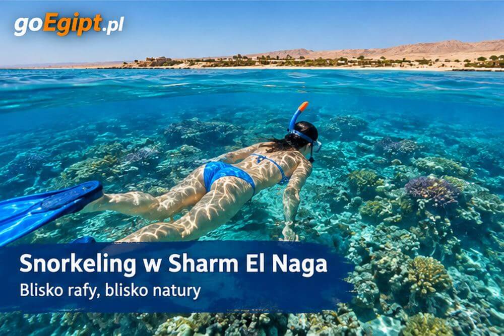 Snorkeling przy rafie w Sharm El Naga
