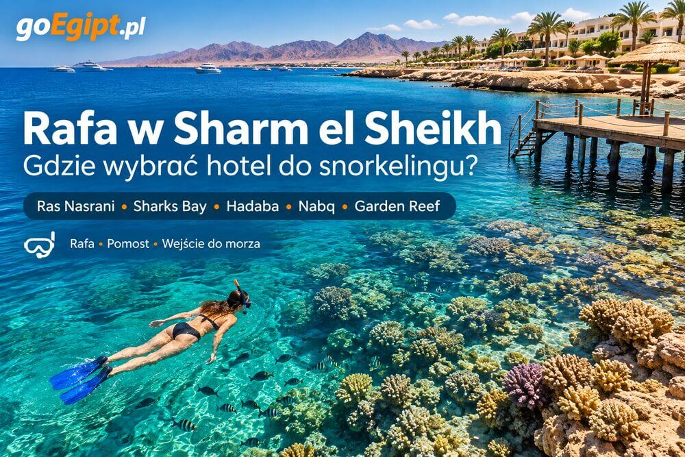 Rafa w Sharm el Sheikh – gdzie wybrać hotel do snorkelingu?