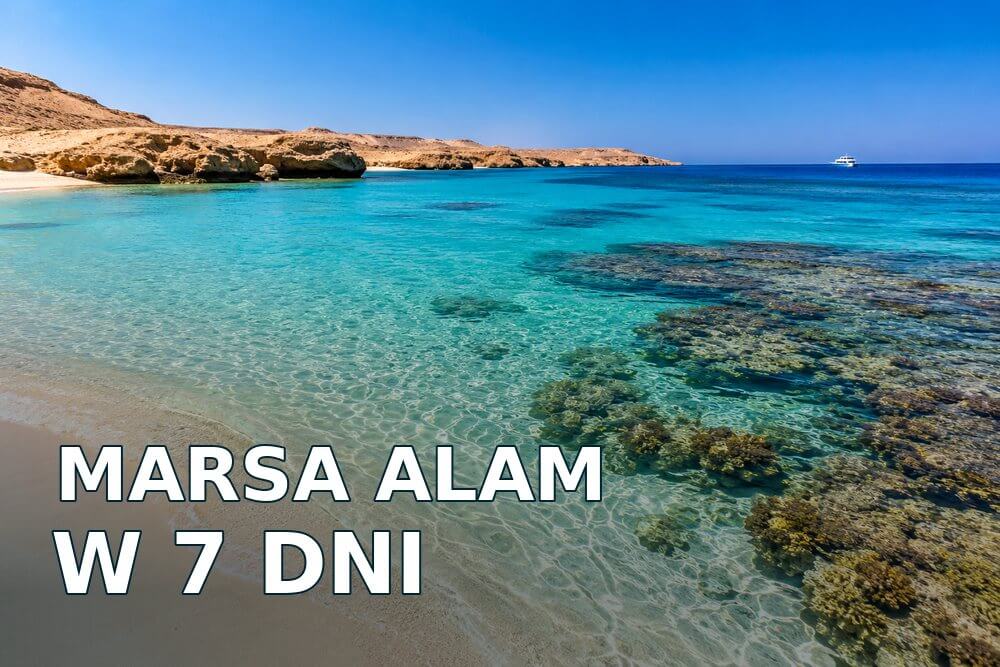 Marsa Alam w 7 dni – plan wakacji z rafą, żółwiami i odpoczynkiem