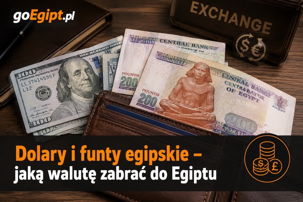 Dolary i funty egipskie – jaką walutę zabrać do Egiptu