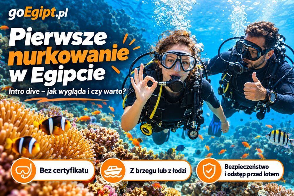 Pierwsze nurkowanie w Egipcie – jak wygląda intro dive i czy warto?