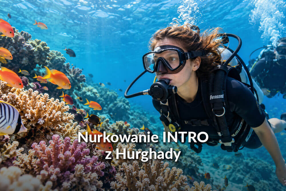 Nurkowanie z Hurghady – całodniowy rejs z nurkowaniem