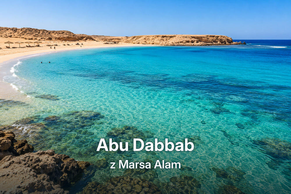 Abu Dabbab z Marsa Alam