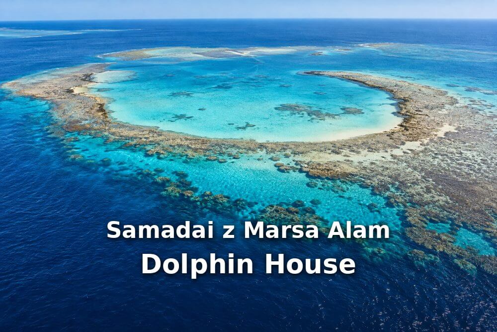 Samadai z Marsa Alam – Dolphin House
