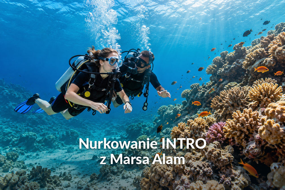 Wycieczka nurkowa z Marsa Alam – INTRO dla początkujących