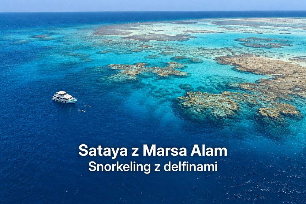 Rafa Sataya z Marsa Alam – snorkeling z dzikimi delfinami na Rafie Delfinów