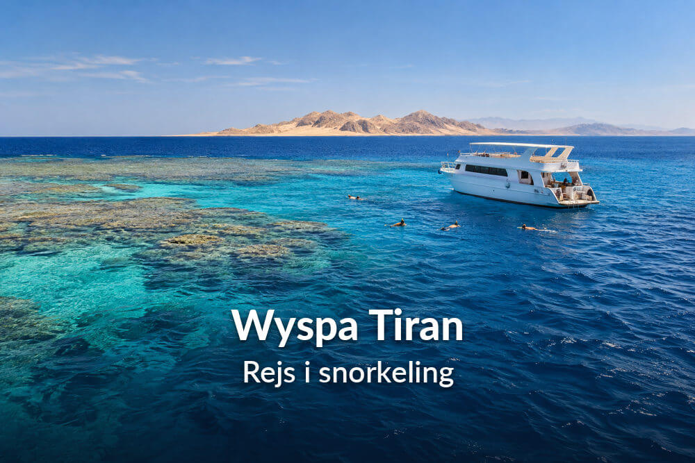 Wyspa Tiran z Sharm El Sheikh – rejs i snorkeling