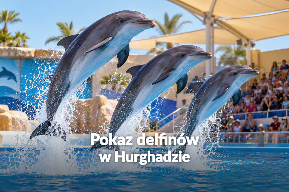 Pokaz delfinów w Hurghadzie – dolphinarium