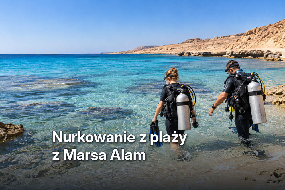 Dwóch nurków wyposażonych w butle i sprzęt nurkowy wchodzi z brzegu do turkusowych wód Morza Czerwonego w regionie Marsa Alam