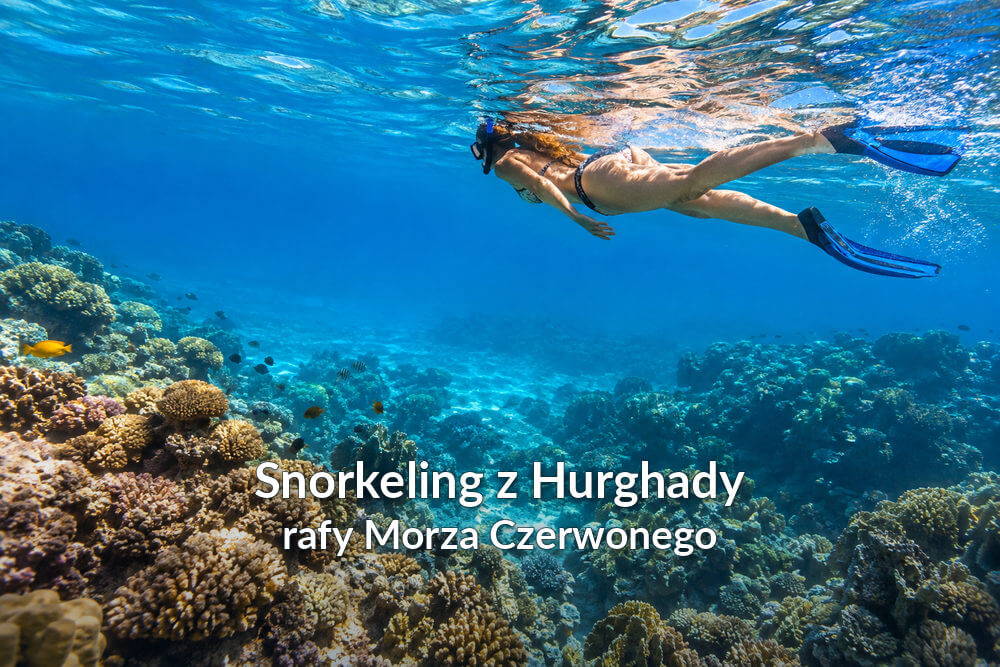 Osoba snorkelująca nad rafą koralową w przejrzystych wodach Morza Czerwonego, wśród koralowców i niewielkich ryb